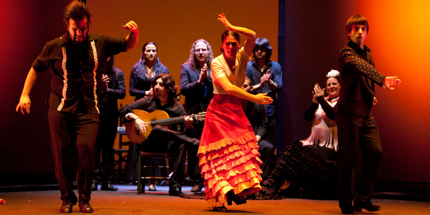 Flamenco dance performance